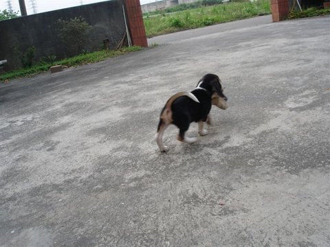 1250621440.jpg