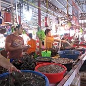 IMG_0116.JPG