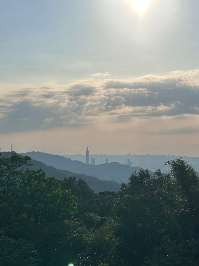 南港茶山螢火蟲導覽 南港就有陽明山 101看起來更大根