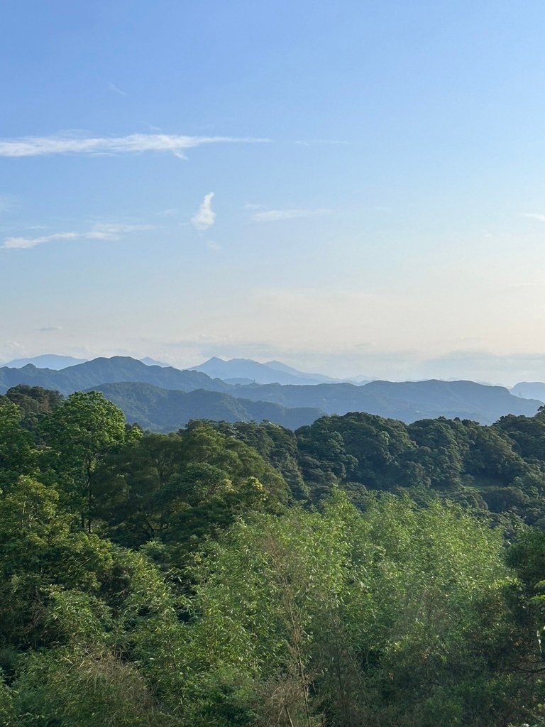 南港茶山螢火蟲導覽 南港就有陽明山 101看起來更大根