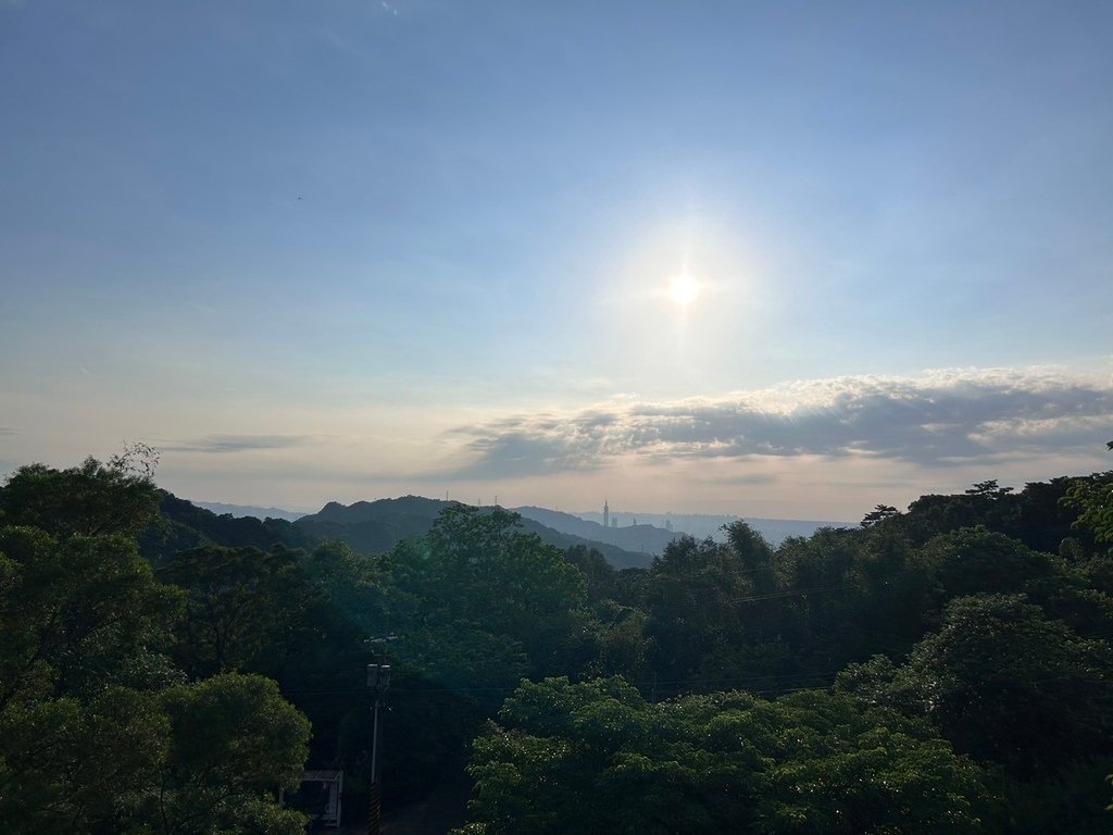 南港茶山螢火蟲導覽 南港就有陽明山 101看起來更大根