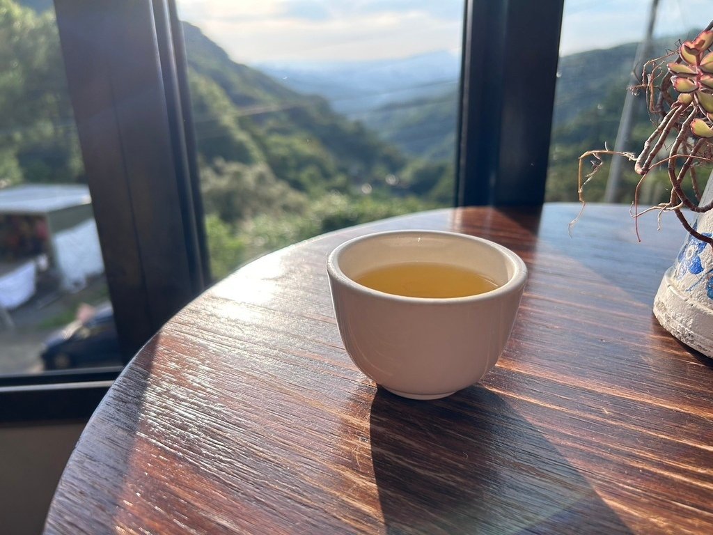 南港茶山螢火蟲導覽 南港就有陽明山 101看起來更大根