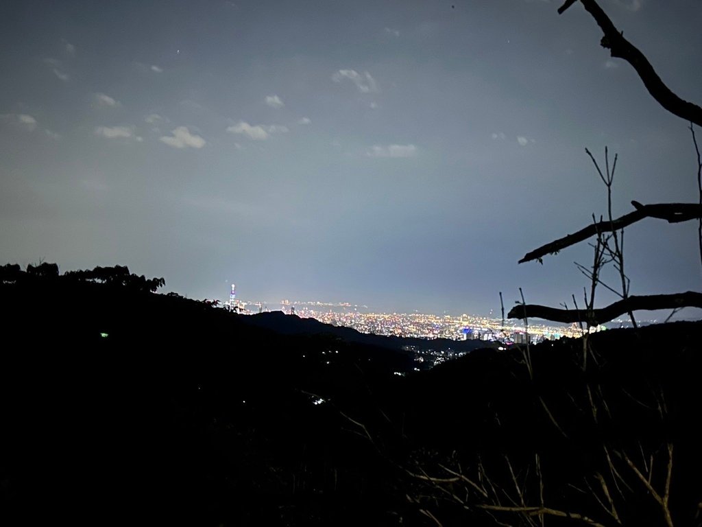 南港茶山螢火蟲導覽 南港就有陽明山 101看起來更大根