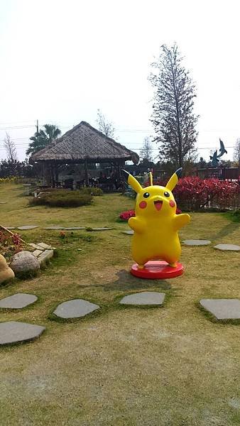 P_20170228_133340.jpg