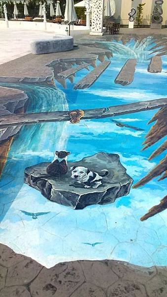 P_20170228_133511.jpg