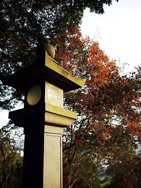 ✡*新北市-汐止/拱北殿-楓葉季