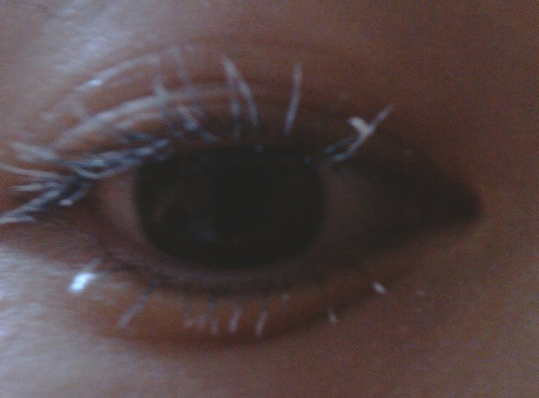 IMAG0298.jpg