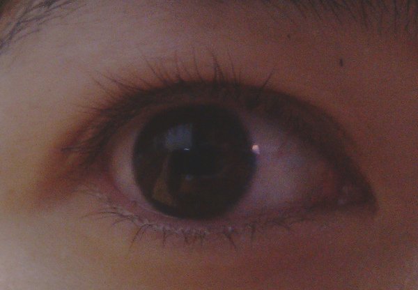IMAG0350.jpg