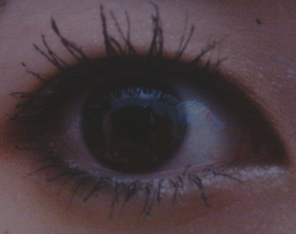 IMAG0390.jpg