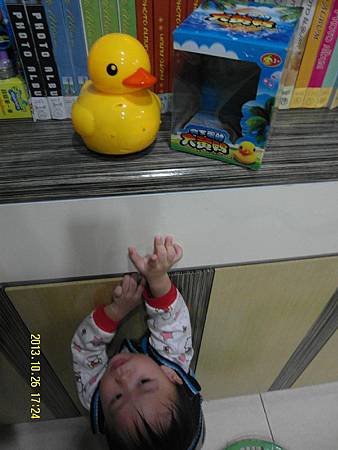 SAM_6715.jpg