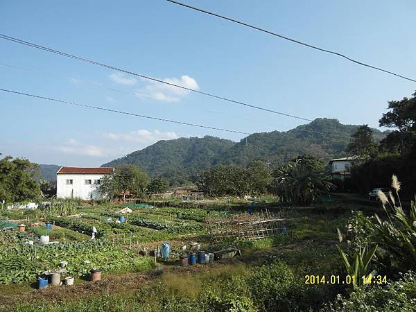SAM_0395.jpg