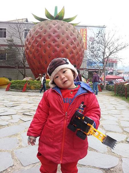 20140126_124420.jpg