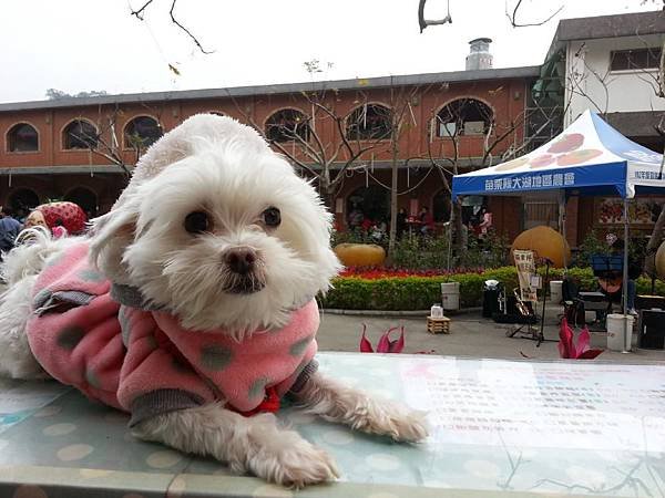 20140126_131545.jpg