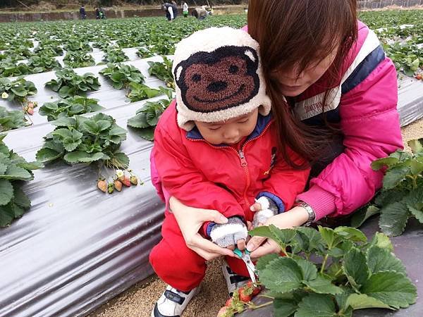 20140126_142250.jpg