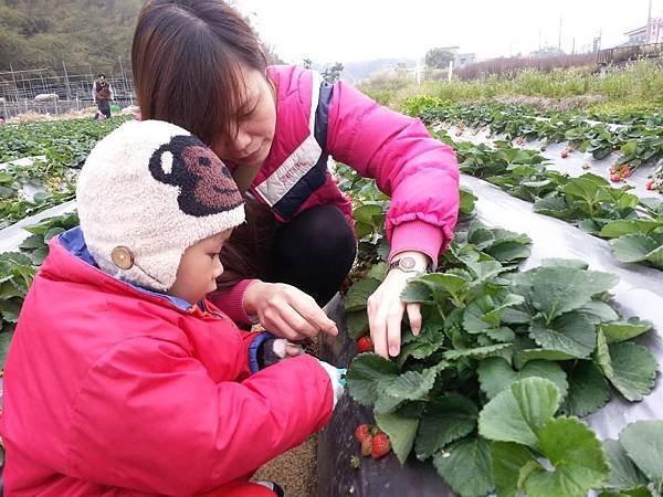 20140126_142526.jpg