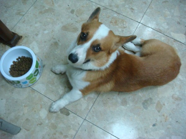 DSC07320.JPG