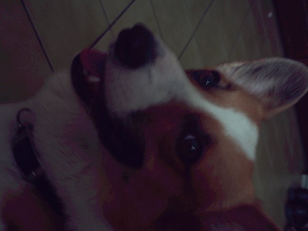 ICAM0039.JPG