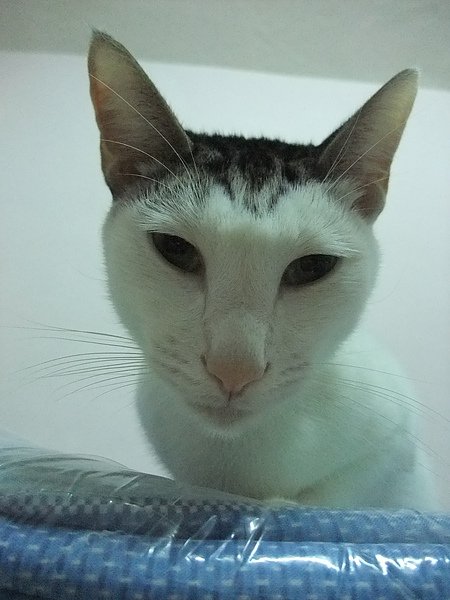 DSCF3127.JPG