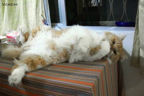 100_0671.JPG