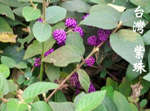 100_8723.JPG