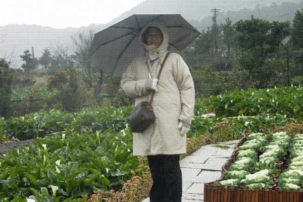 阿尼.GIF
