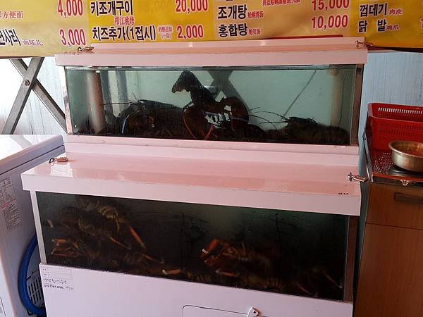 九層海鮮塔(07)