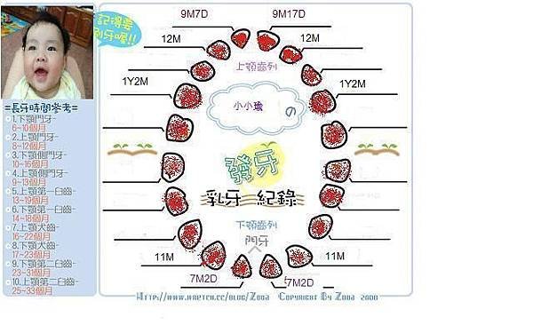 小小瑜的發牙紀錄