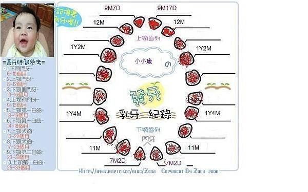 小小瑜的發牙紀錄