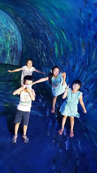 20170716_130451.jpg