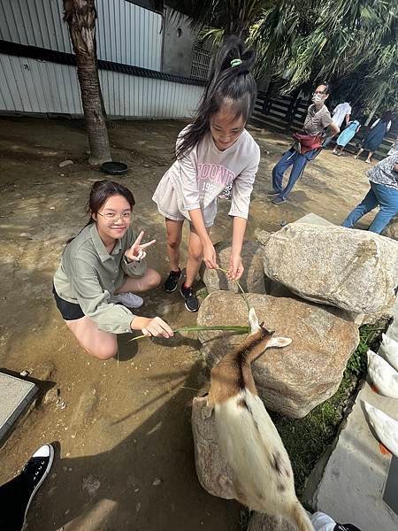 廢物媽媽育兒農場