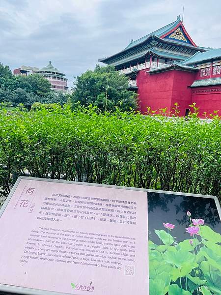 老爸生日快樂in新東南海鮮餐廳