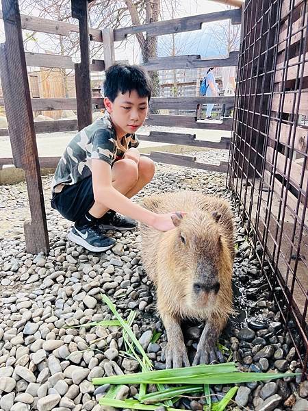 暑假就是要玩之..宜蘭兩天一夜,蘭陽動植物王國,礁溪溫泉公園