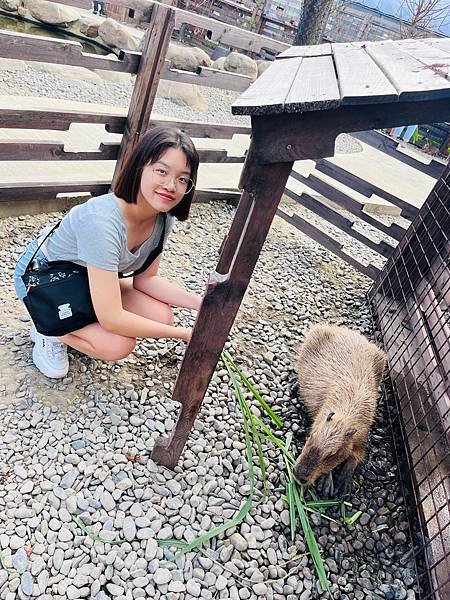 暑假就是要玩之..宜蘭兩天一夜,蘭陽動植物王國,礁溪溫泉公園