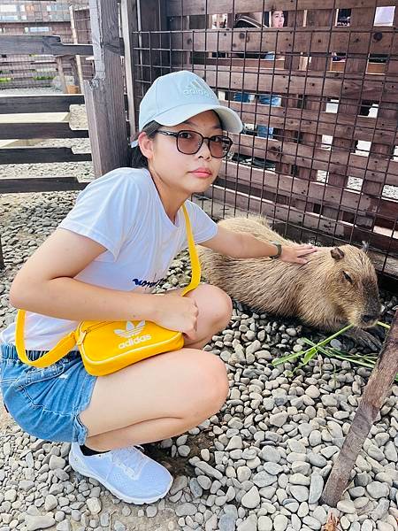 暑假就是要玩之..宜蘭兩天一夜,蘭陽動植物王國,礁溪溫泉公園