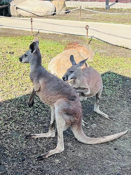 暑假就是要玩之..宜蘭兩天一夜,蘭陽動植物王國,礁溪溫泉公園