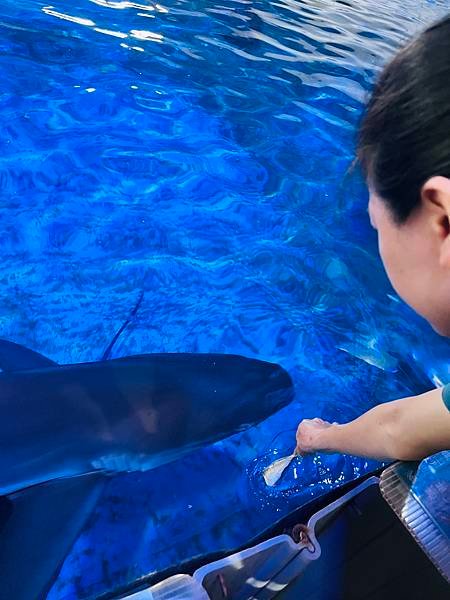 暑假就是要玩之..宜蘭兩天一夜,蘭陽動植物王國,礁溪溫泉公園