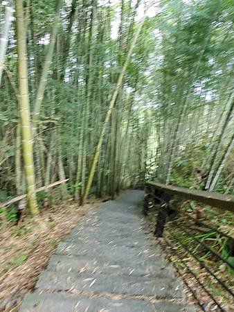20230929-30二延平、大凍霹靂山O型