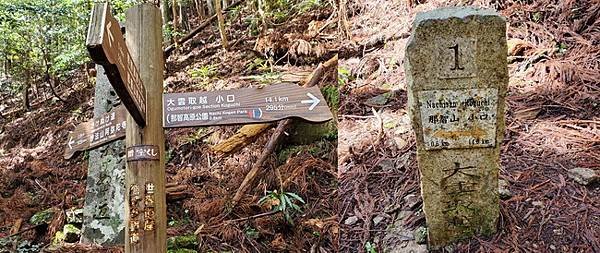 2024東方朝聖之路-日本熊野古道-IV