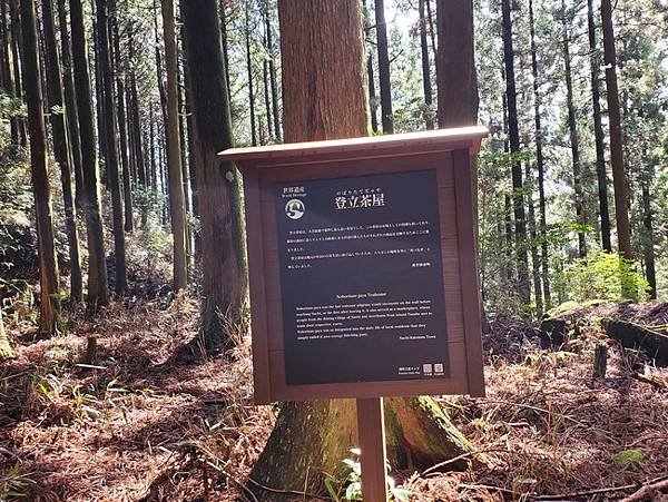 2024東方朝聖之路-日本熊野古道-IV