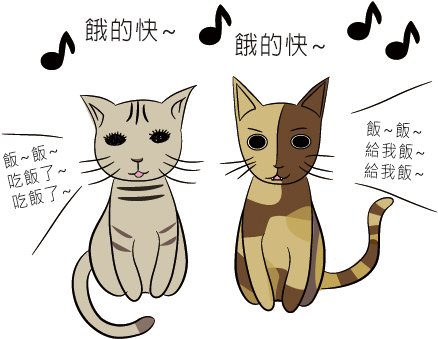 兩隻貓咪02.jpg
