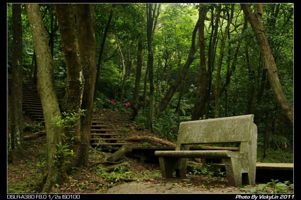 DSC08381.jpg