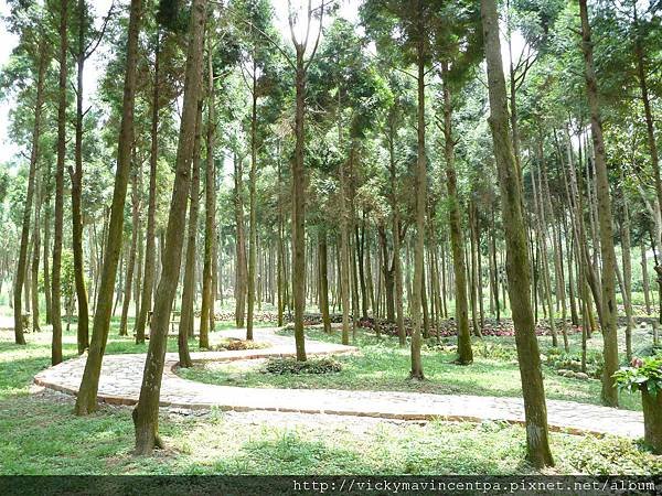 新社古堡莊園