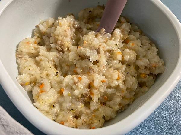 【副食品懶人包】自製副食品｜市售寶寶粥｜寶寶麵｜寶寶燉飯｜手