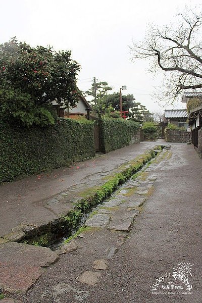 照片 571.jpg