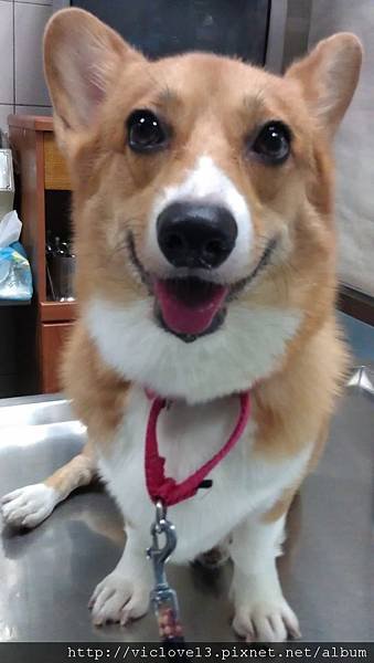 IMAG0312.jpg