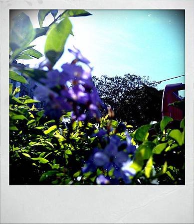 shot_1334043863944
