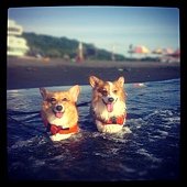 IMG_20120710_225714