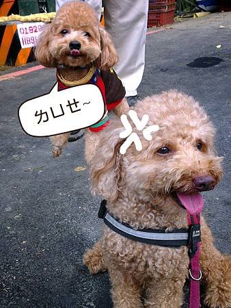 2013-03-24-09-41-10_deco