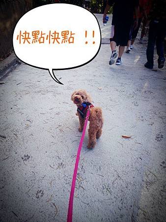 2013-03-24-09-51-57_deco