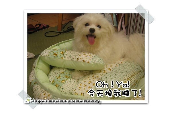 白目ku.jpg